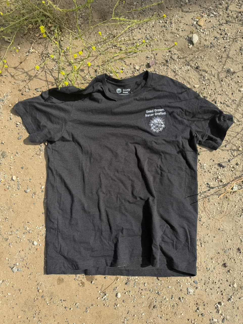 Prickly Point t-shirt laid flat on the ground