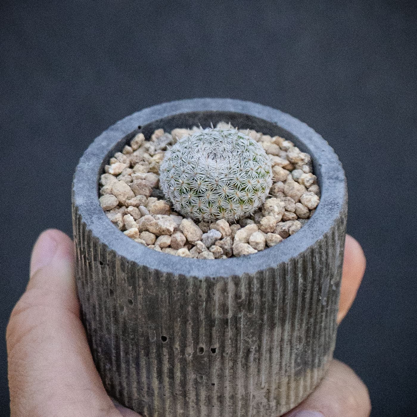 Selected image