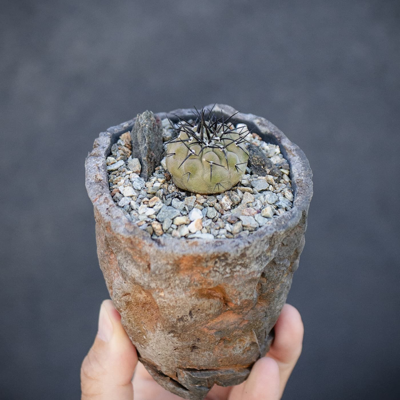 Selected image