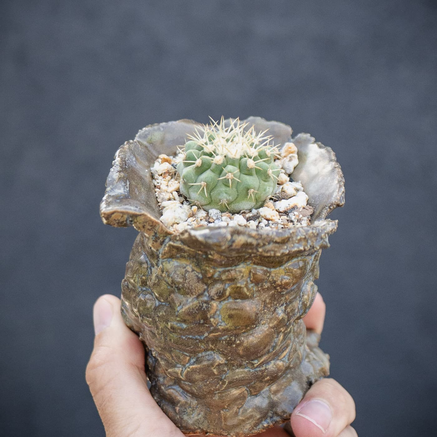 Selected image
